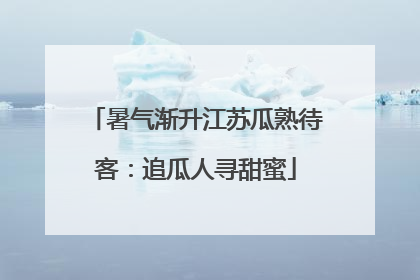 暑气渐升江苏瓜熟待客：追瓜人寻甜蜜