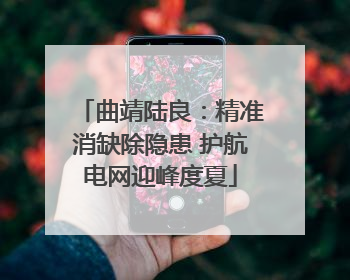 曲靖陆良：精准消缺除隐患 护航电网迎峰度夏