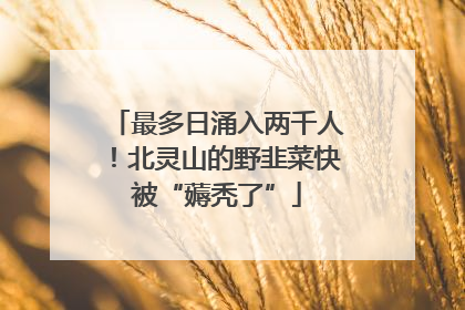 最多日涌入两千人！北灵山的野韭菜快被“薅秃了”