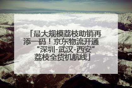 最大规模荔枝助销再添一码！京东物流开通“深圳-武汉-西安” 荔枝全货机航线
