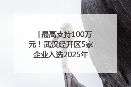 最高支持100万元！武汉经开区5家企业入选2025年度武汉市重点研发计划拟立项项目名单