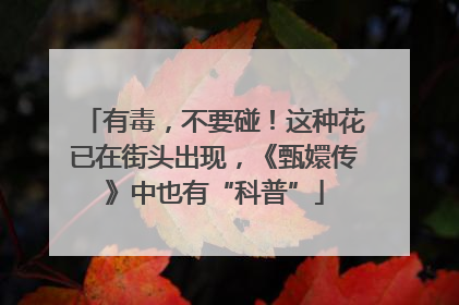 有毒，不要碰！这种花已在街头出现，《甄嬛传》中也有“科普”