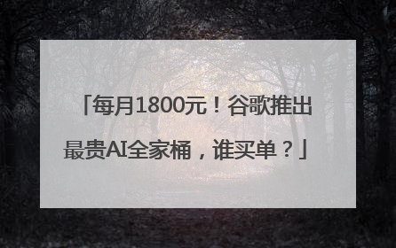 每月1800元！谷歌推出最贵AI全家桶，谁买单？
