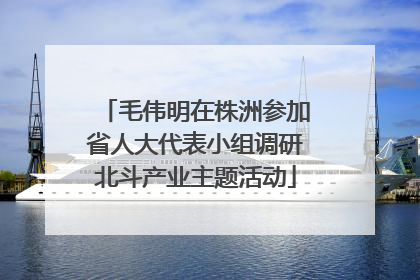 毛伟明在株洲参加省人大代表小组调研北斗产业主题活动