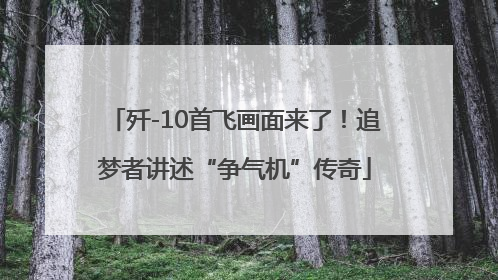 歼-10首飞画面来了！追梦者讲述“争气机”传奇