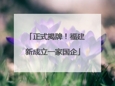 正式揭牌！福建新成立一家国企