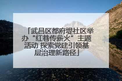 武昌区都府堤社区举办“红巷传薪火”主题活动 探索党建引领基层治理新路径