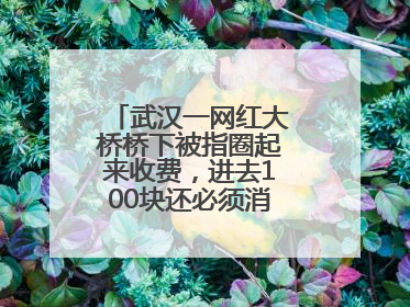 武汉一网红大桥桥下被指圈起来收费，进去100块还必须消费？当地回应