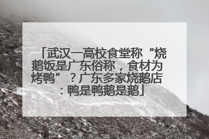 武汉一高校食堂称“烧鹅饭是广东俗称，食材为烤鸭”？广东多家烧鹅店：鸭是鸭鹅是鹅