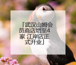 武汉山姆会员商店增至4家 江岸店正式开业