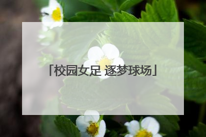校园女足 逐梦球场