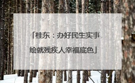 桂东：办好民生实事 绘就残疾人幸福底色