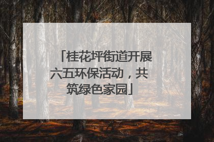 桂花坪街道开展六五环保活动，共筑绿色家园