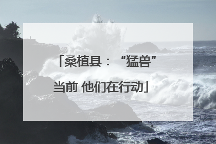 桑植县：“猛兽”当前 他们在行动