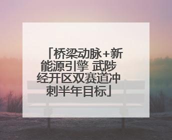 桥梁动脉+新能源引擎 武陟经开区双赛道冲刺半年目标