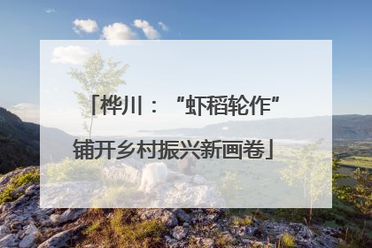 桦川：“虾稻轮作”铺开乡村振兴新画卷