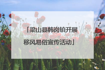 梁山县韩岗镇开展移风易俗宣传活动