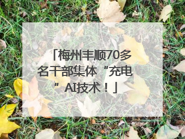 梅州丰顺70多名干部集体“充电”AI技术！