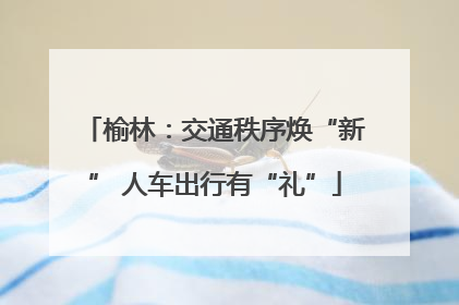 榆林：交通秩序焕“新” 人车出行有“礼”