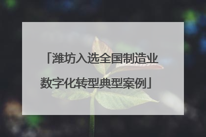 潍坊入选全国制造业数字化转型典型案例