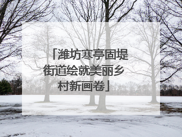 潍坊寒亭固堤街道绘就美丽乡村新画卷