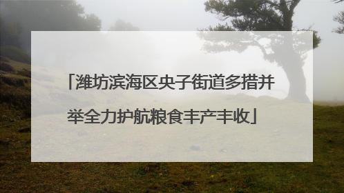 潍坊滨海区央子街道多措并举全力护航粮食丰产丰收