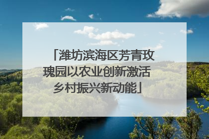 潍坊滨海区芳青玫瑰园以农业创新激活乡村振兴新动能