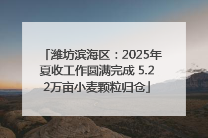 潍坊滨海区：2025年夏收工作圆满完成 5.22万亩小麦颗粒归仓