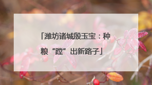 潍坊诸城殷玉宝：种粮“蹚”出新路子