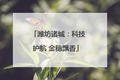 潍坊诸城：科技护航 金穗飘香