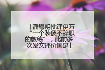 潘粤明批评伊万“一个装傻不辞职的教练”，此前多次发文评价国足