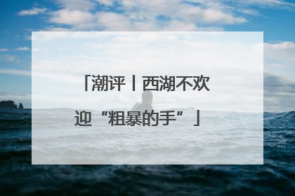 潮评丨西湖不欢迎“粗暴的手”