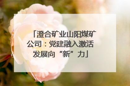 澄合矿业山阳煤矿公司：党建融入激活发展向“新”力