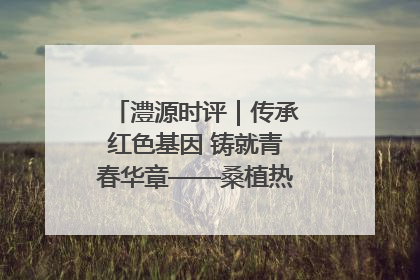澧源时评｜传承红色基因 铸就青春华章——桑植热土上的青春长征