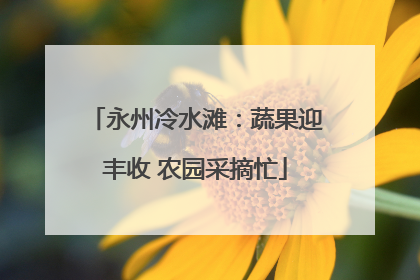 永州冷水滩：蔬果迎丰收 农园采摘忙