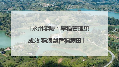 永州零陵：早稻管理见成效 稻浪飘香穗满田