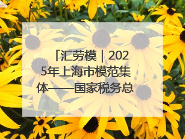 汇劳模｜2025年上海市模范集体——国家税务总局上海市徐汇区税务局第一税务所