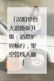 汉阳琴台大道焕新升级：道路扩容畅行，架空管线入廊
