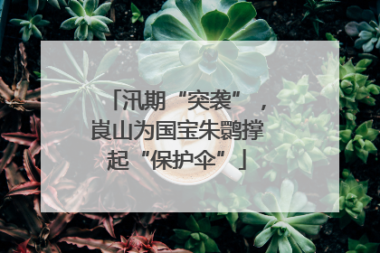 汛期“突袭”，崀山为国宝朱鹮撑起“保护伞”