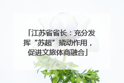 江苏省省长：充分发挥“苏超”撬动作用，促进文旅体商融合