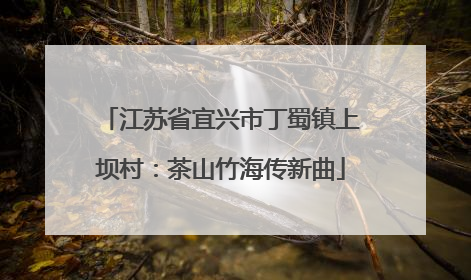 江苏省宜兴市丁蜀镇上坝村：茶山竹海传新曲