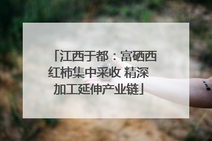 江西于都：富硒西红柿集中采收 精深加工延伸产业链