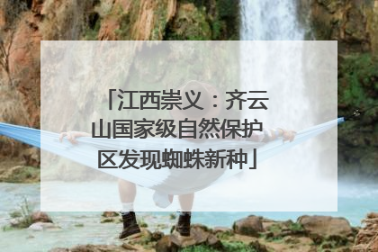 江西崇义：齐云山国家级自然保护区发现蜘蛛新种
