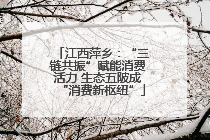 江西萍乡：“三链共振”赋能消费活力 生态五陂成“消费新枢纽”
