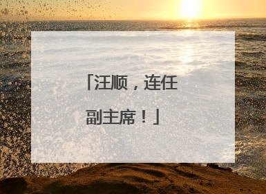 汪顺，连任副主席！