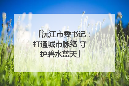 沅江市委书记：打通城市脉络 守护碧水蓝天