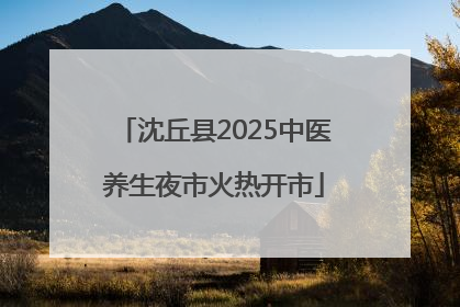 沈丘县2025中医养生夜市火热开市
