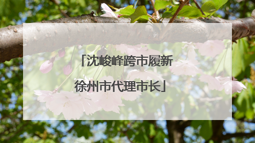 沈峻峰跨市履新徐州市代理市长