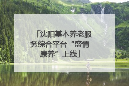 沈阳基本养老服务综合平台“盛情康养”上线