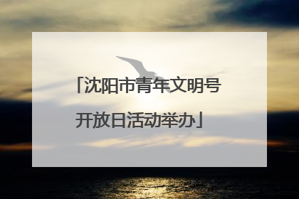 沈阳市青年文明号开放日活动举办